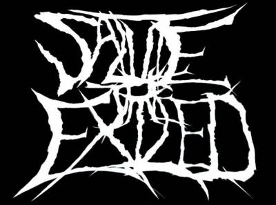 logo Salute The Exiled logo Salute The Exiled